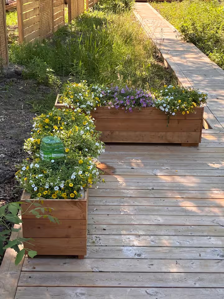 Flower planters along the cottage boardwalk